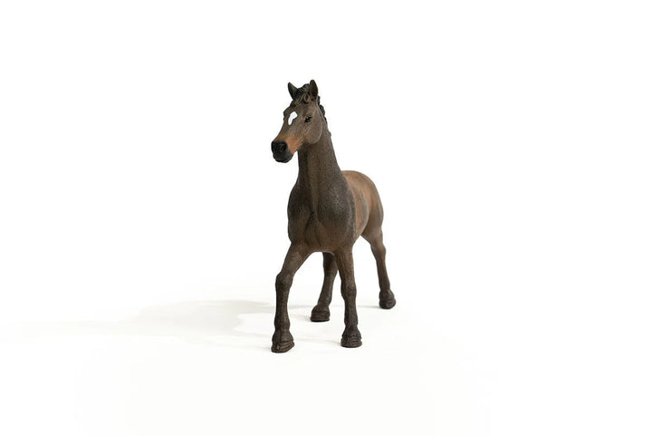 Schleich HORSE CLUB - Oldenburg Stallion 5.5 x 1.8 x 4.7 inch