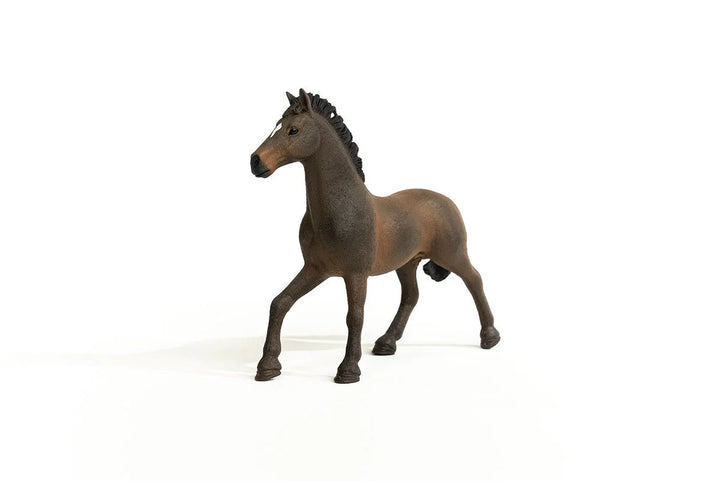 Schleich HORSE CLUB - Oldenburg Stallion 5.5 x 1.8 x 4.7 inch