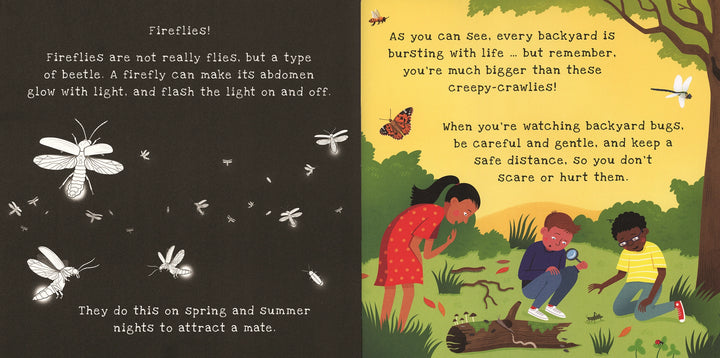 USBORNE Shine-a-Light - Backyard Bugs