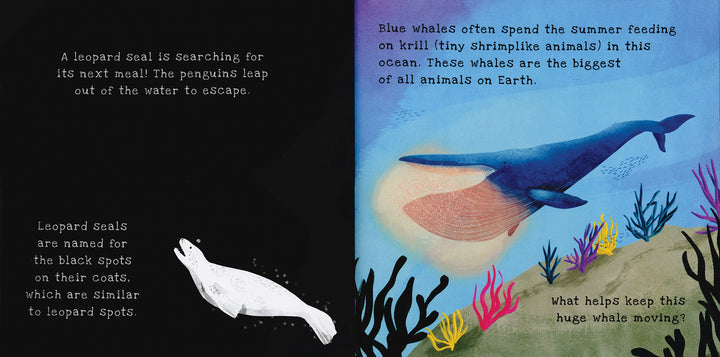 USBORNE Shine-a-Light - Oceans