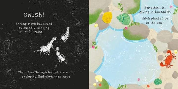 USBORNE Shine-a-Light - Secrets of The Seashore