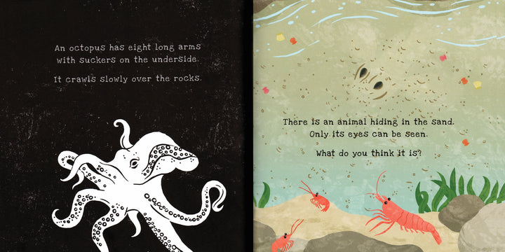 USBORNE Shine-a-Light - Secrets of The Seashore