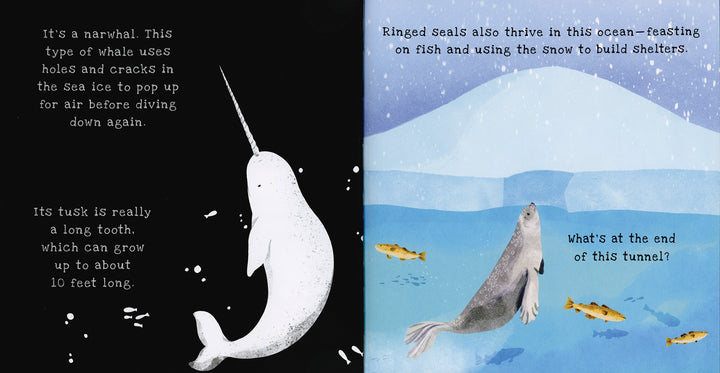 USBORNE Shine-a-Light - Oceans