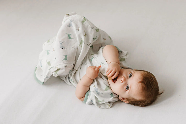 Nest Designs Baby 0.25 TOG Bamboo Silk Short Sleeve Sleep Bag - The Ant & The Grasshopper