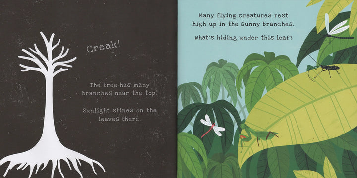 USBORNE Shine-a-Light - Secrets of The Rain Forest