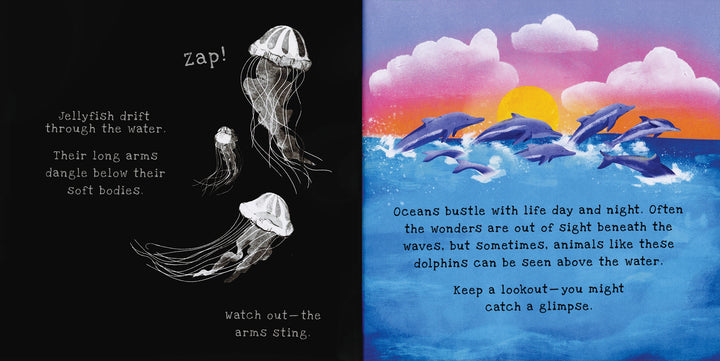 USBORNE Shine-a-Light - Oceans