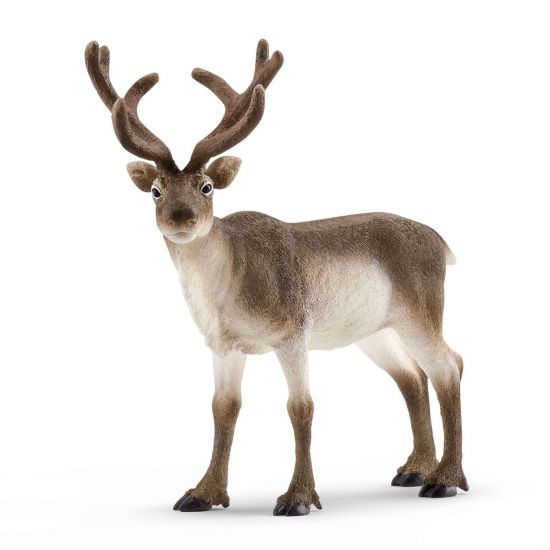 Schleich WILD LIFE - Reindeer 4.9 x 2.4 x 4.7 inch