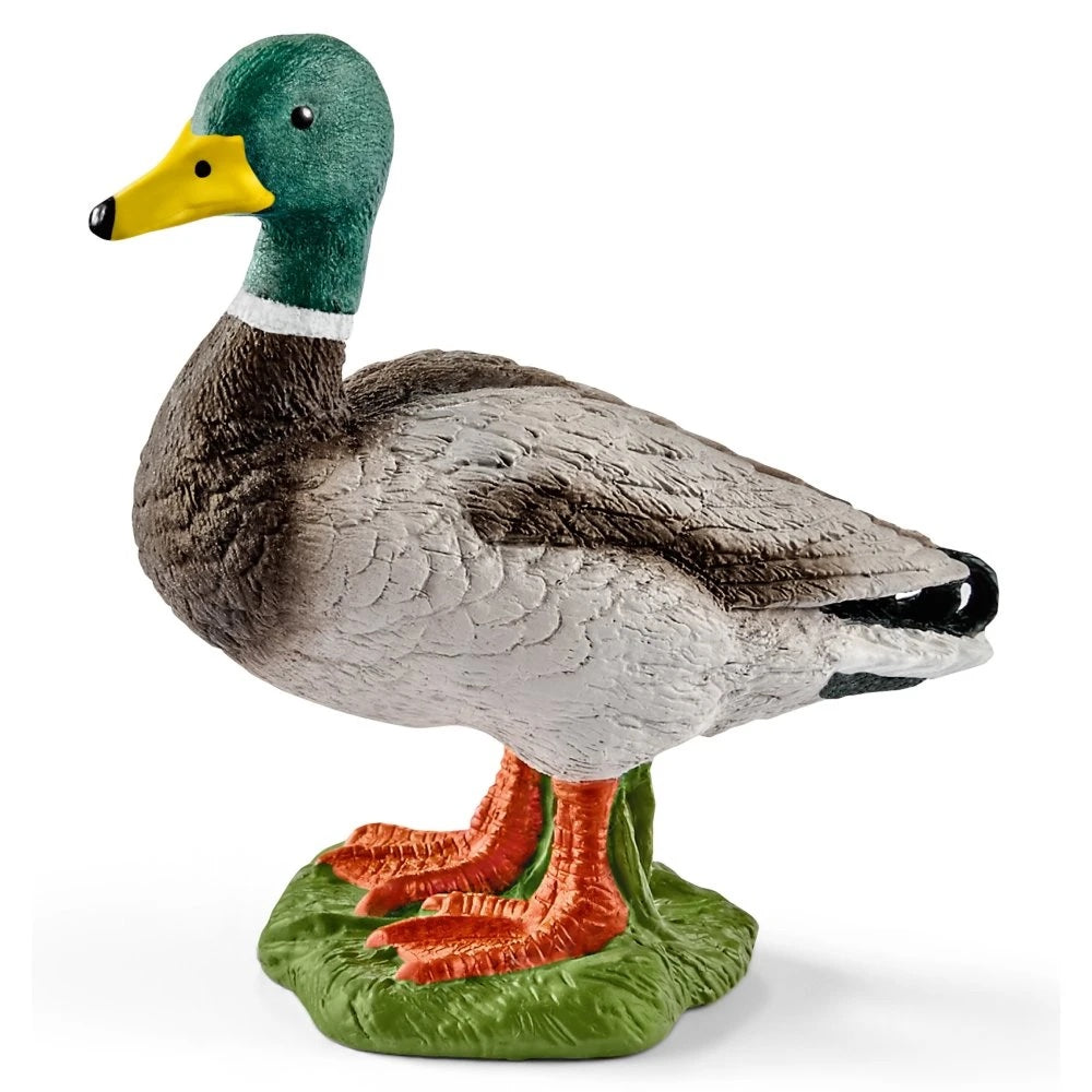 Schleich FARM WORLD - Drake