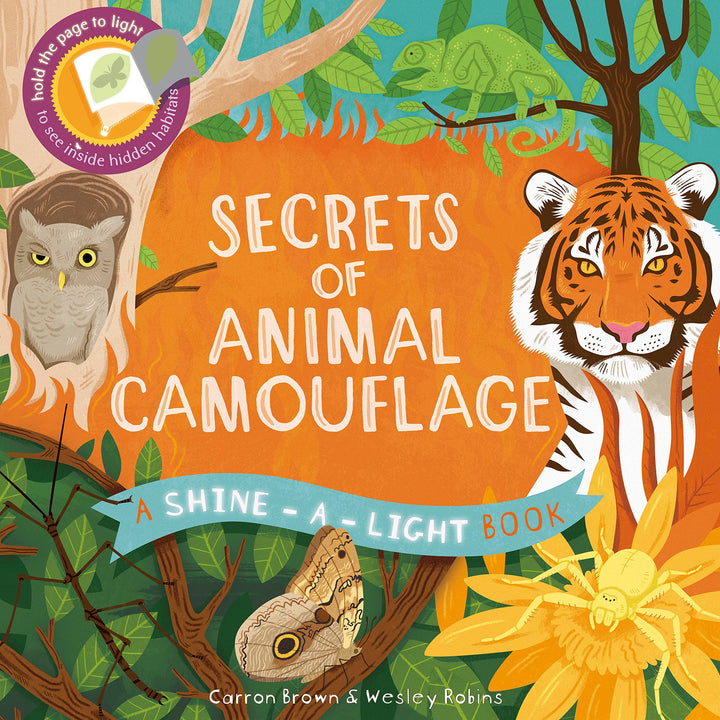 USBORNE Shine-a-Light - Secrets of Animal Camouflage