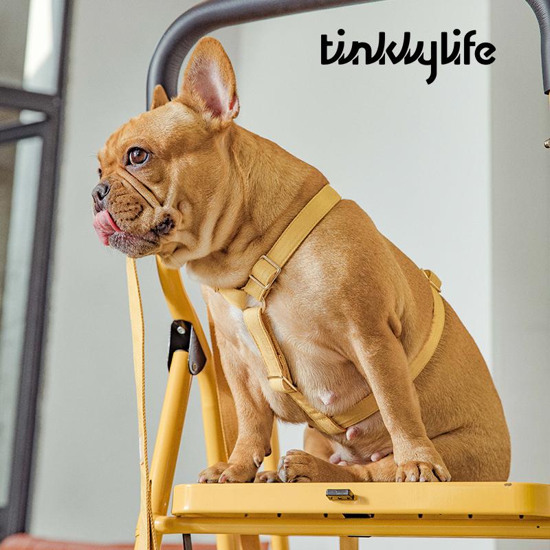 Tinklylife Dog MACARON Harness - Yellow