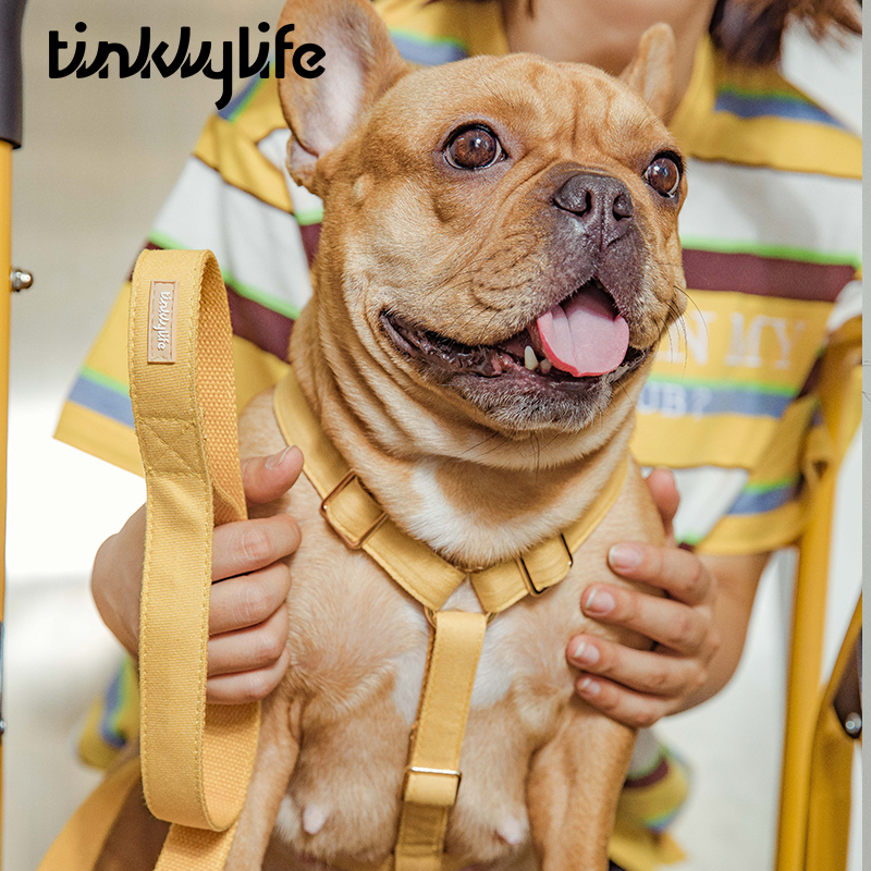 Tinklylife Dog MACARON Harness - Yellow
