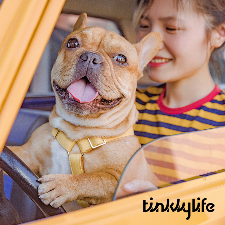 Tinklylife Dog MACARON Harness - Yellow