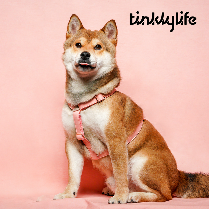 Tinklylife Dog MACARON Harness - Pink