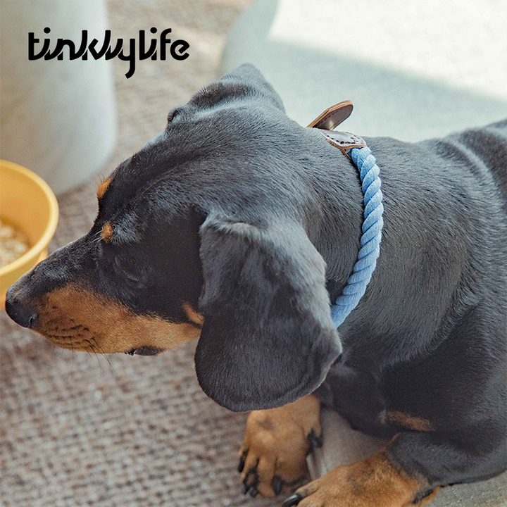 Tinklylife Dog Knit Collar - Blue+Brown Leather