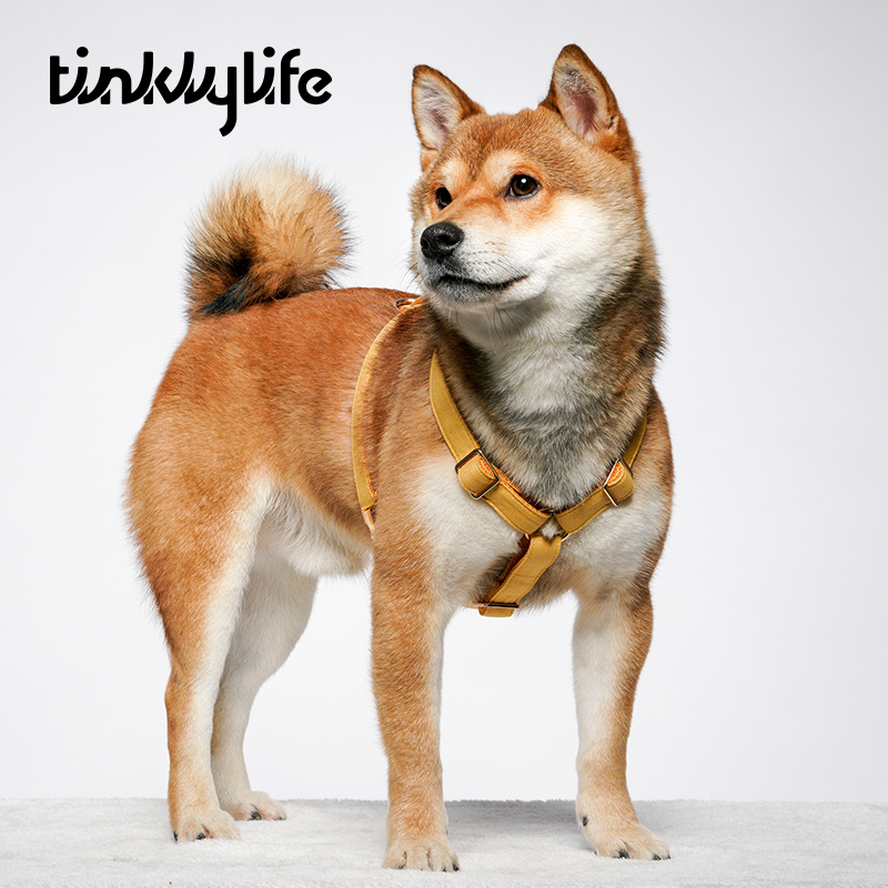 Tinklylife Dog MACARON Harness - Yellow