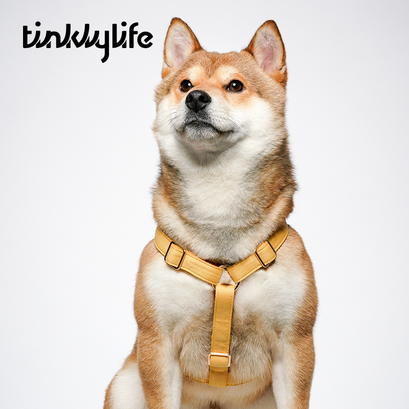 Tinklylife Dog MACARON Harness - Yellow