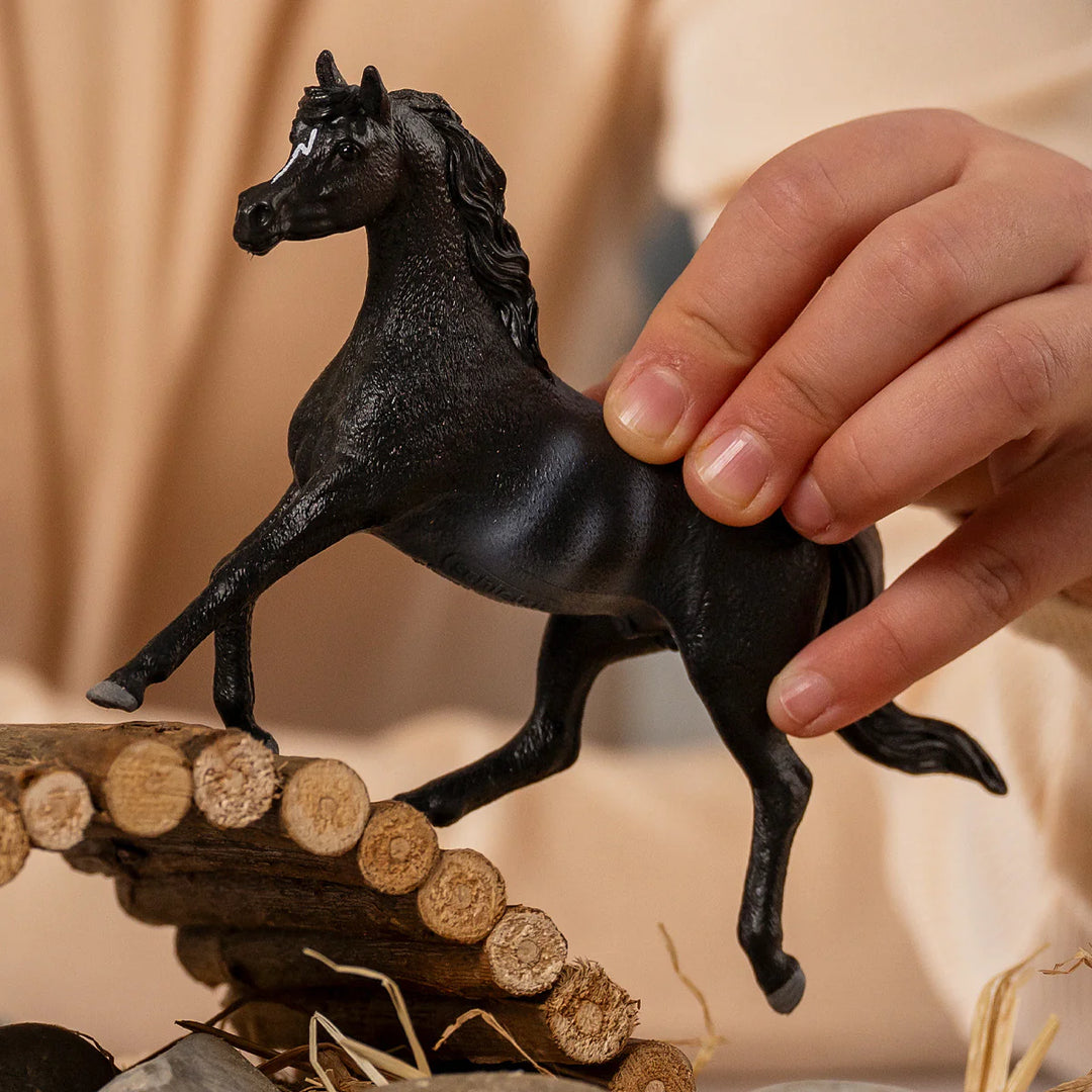 >Schleich HORSE CLUB - Rabicano Arab Stallion