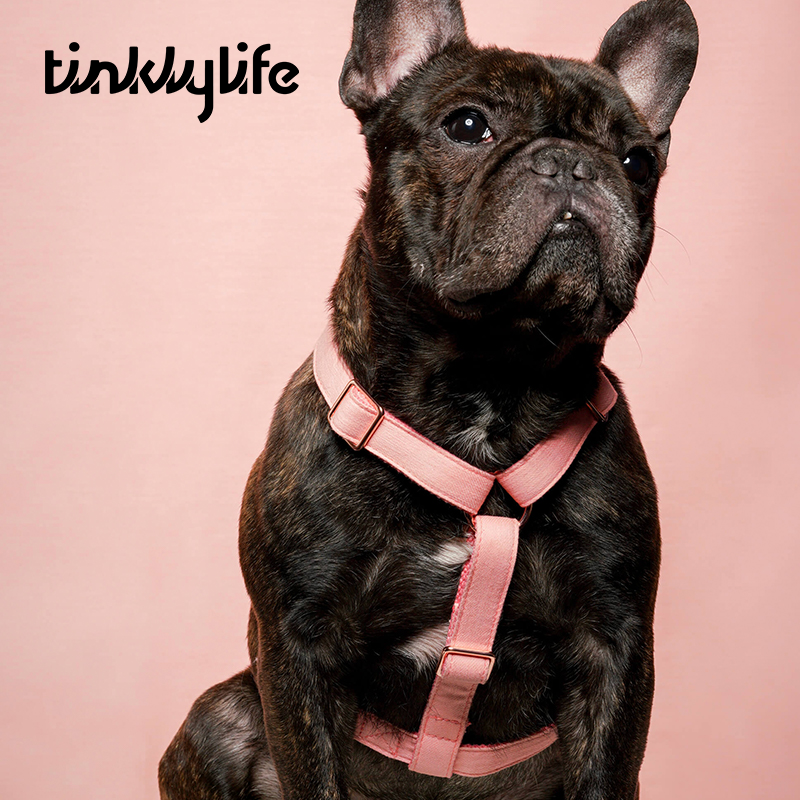 Tinklylife Dog MACARON Harness - Pink