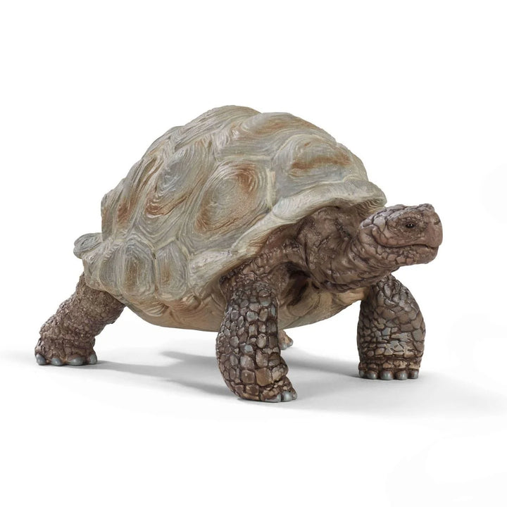 >Schleich WILD LIFE - Giant Tortoise