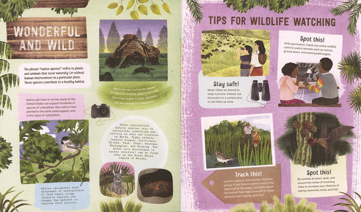 >Usborne Explore! America's Wildlife 7Y+