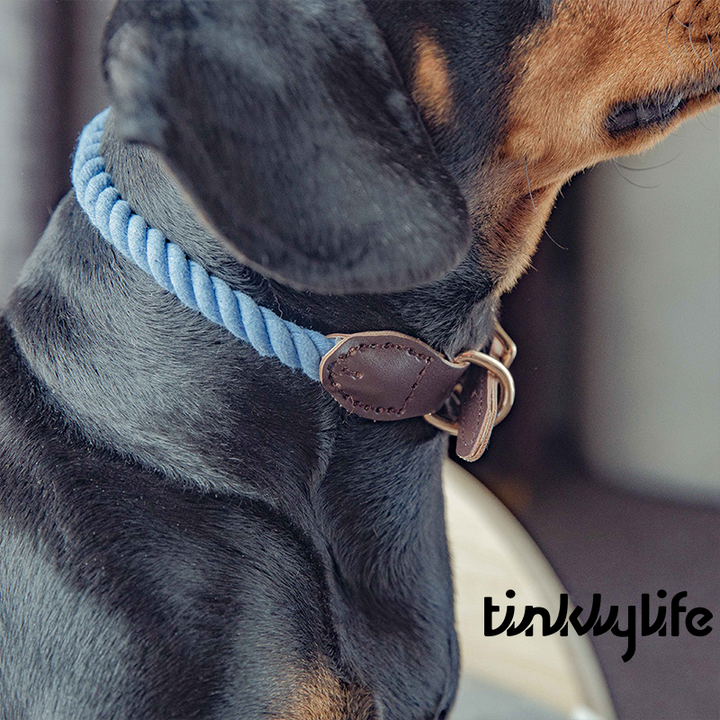 Tinklylife Dog Knit Collar - Blue+Brown Leather