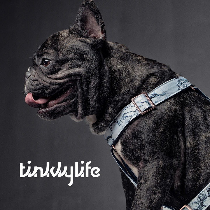 Tinklylife Dog Marble Harness