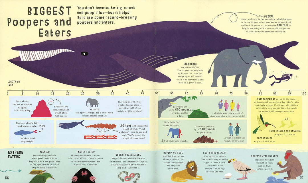 USBORNE The Book of Comparisons