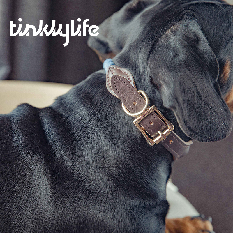 Tinklylife Dog Knit Collar - Blue+Brown Leather