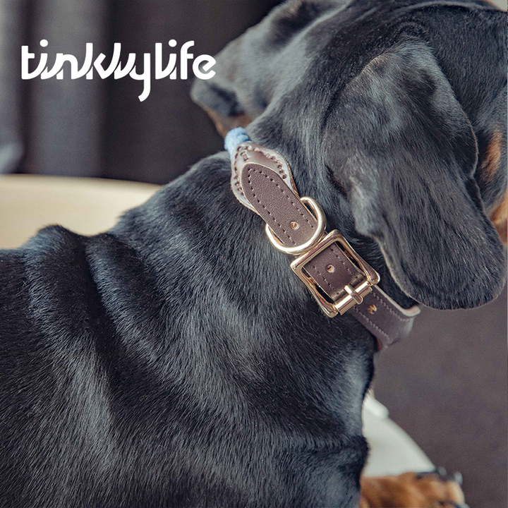 Tinklylife Dog Knit Collar - Blue+Brown Leather