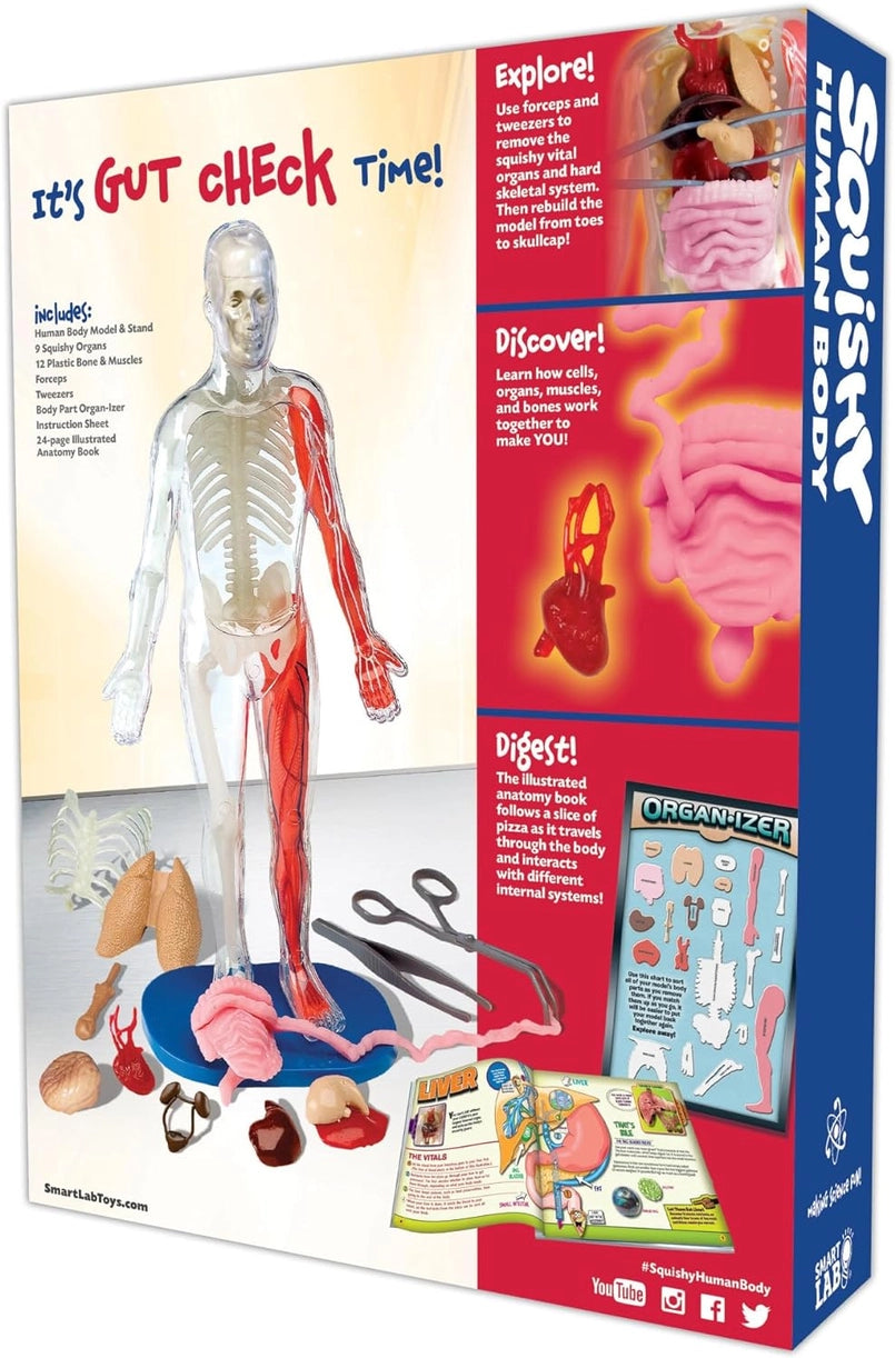 >Usborne Squishy Human Body