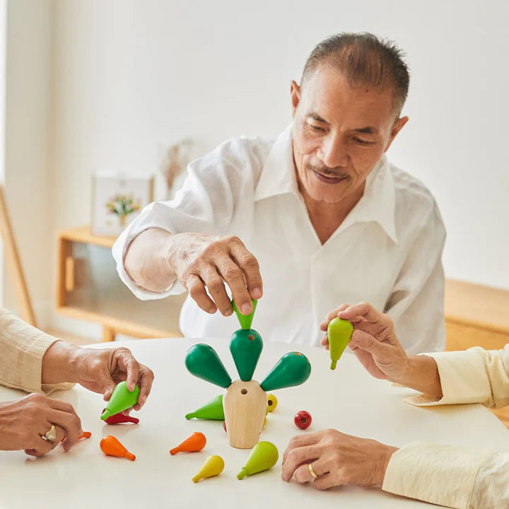 PlanToys Balancing Cactus 3Y+