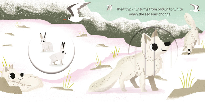 >Usborne Animal Magic: in the Snow