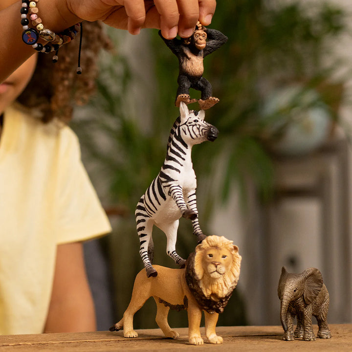 >Schleich WILD LIFE - Africa Starter Set