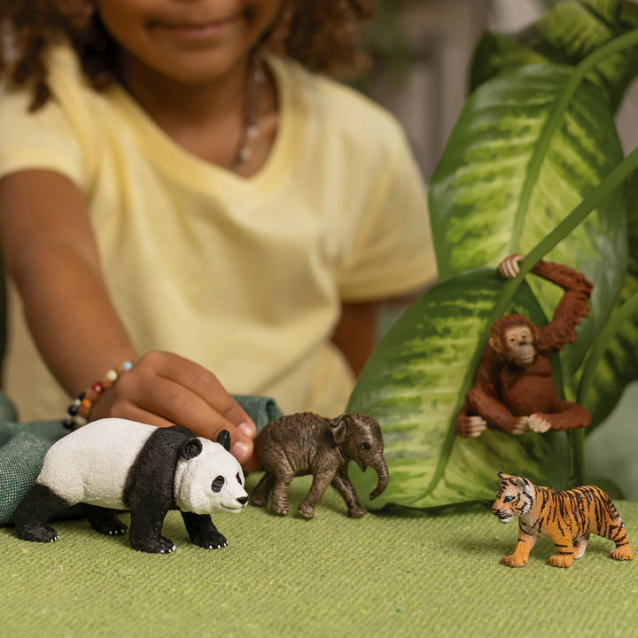 >Schleich WILD LIFE - Asia Starter Set