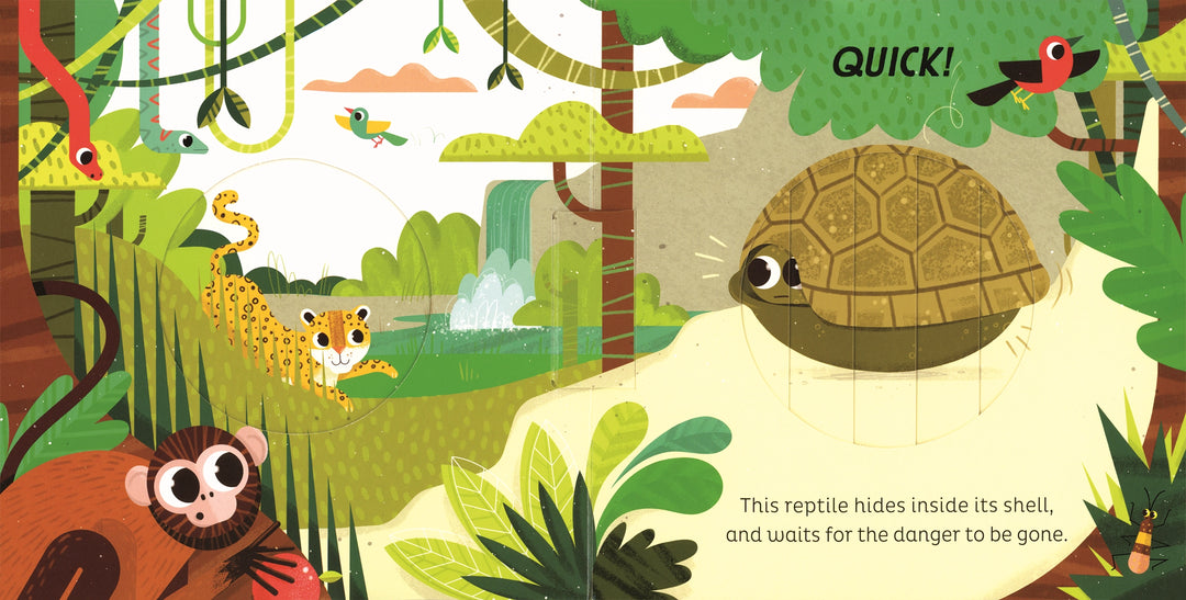 >Usborne Animal Magic: in the Jungle