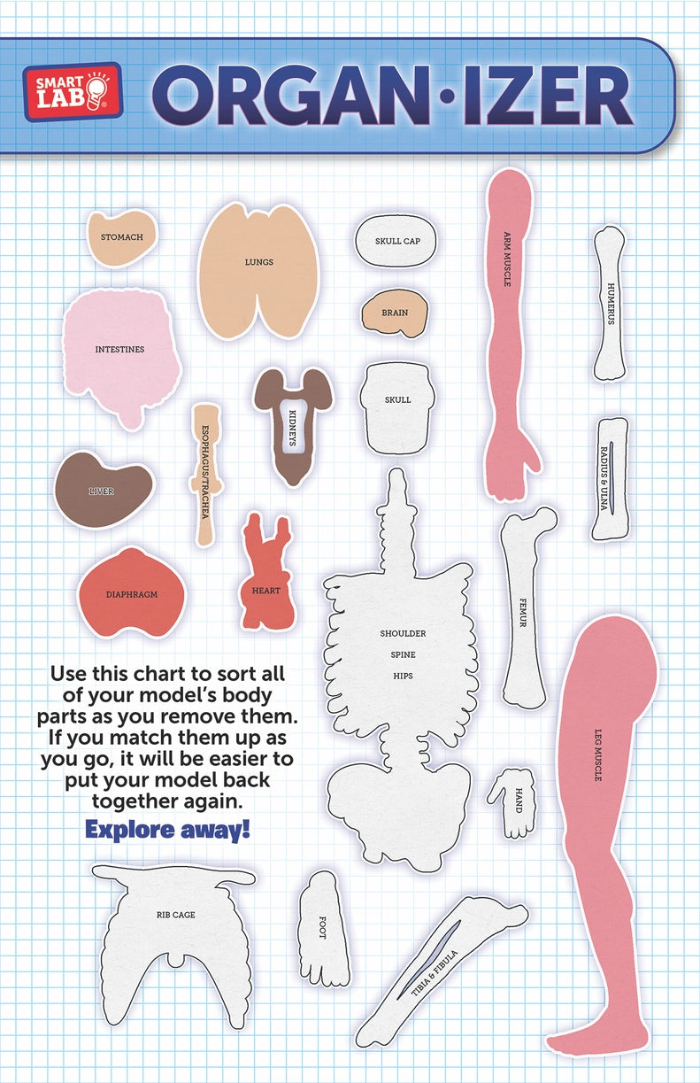 >Usborne Squishy Human Body