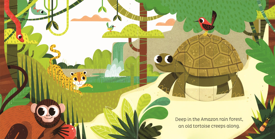 >Usborne Animal Magic: in the Jungle