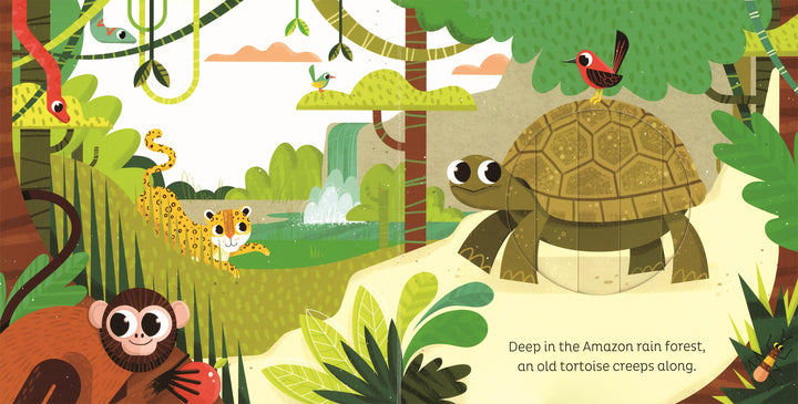 >Usborne Animal Magic: in the Jungle