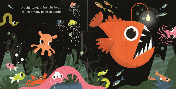 >Usborne Animal Magic: in the Ocean