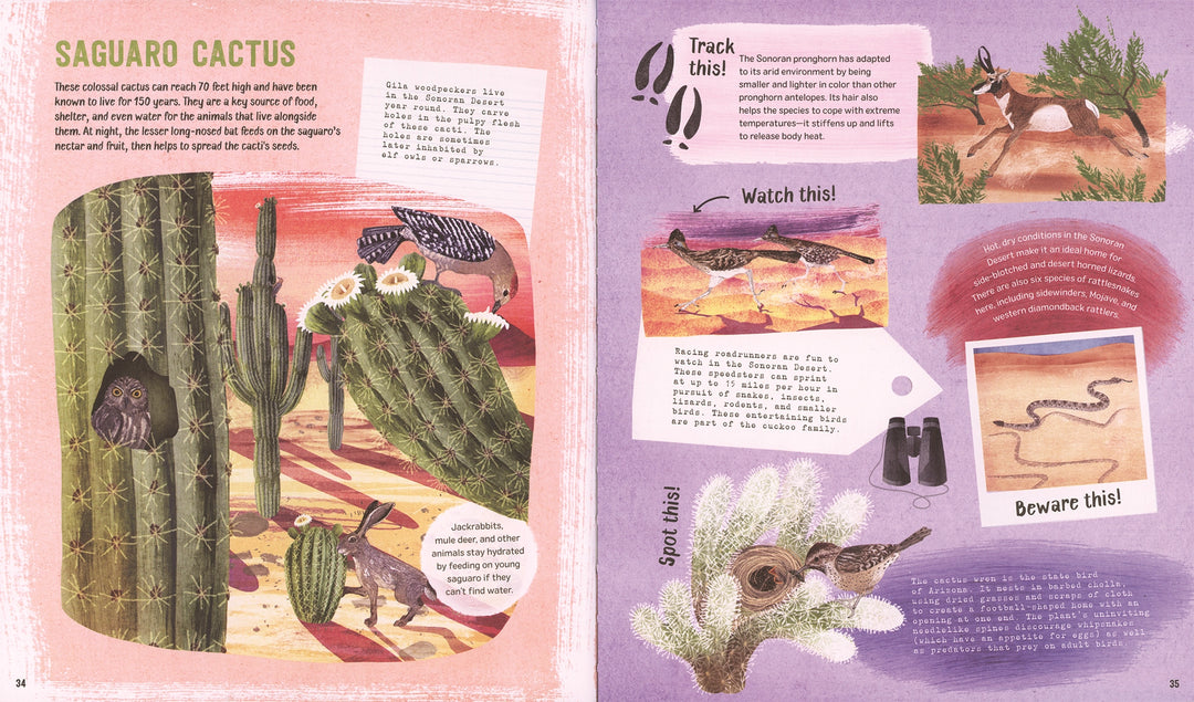 >Usborne Explore! America's Wildlife 7Y+