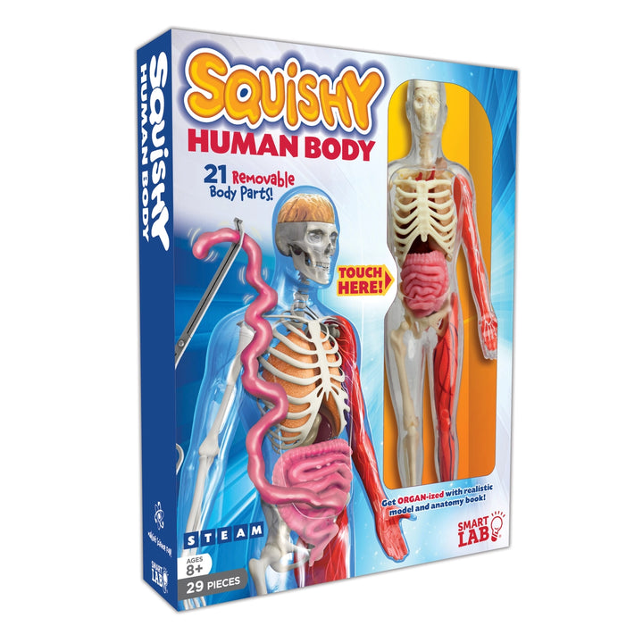 >Usborne Squishy Human Body