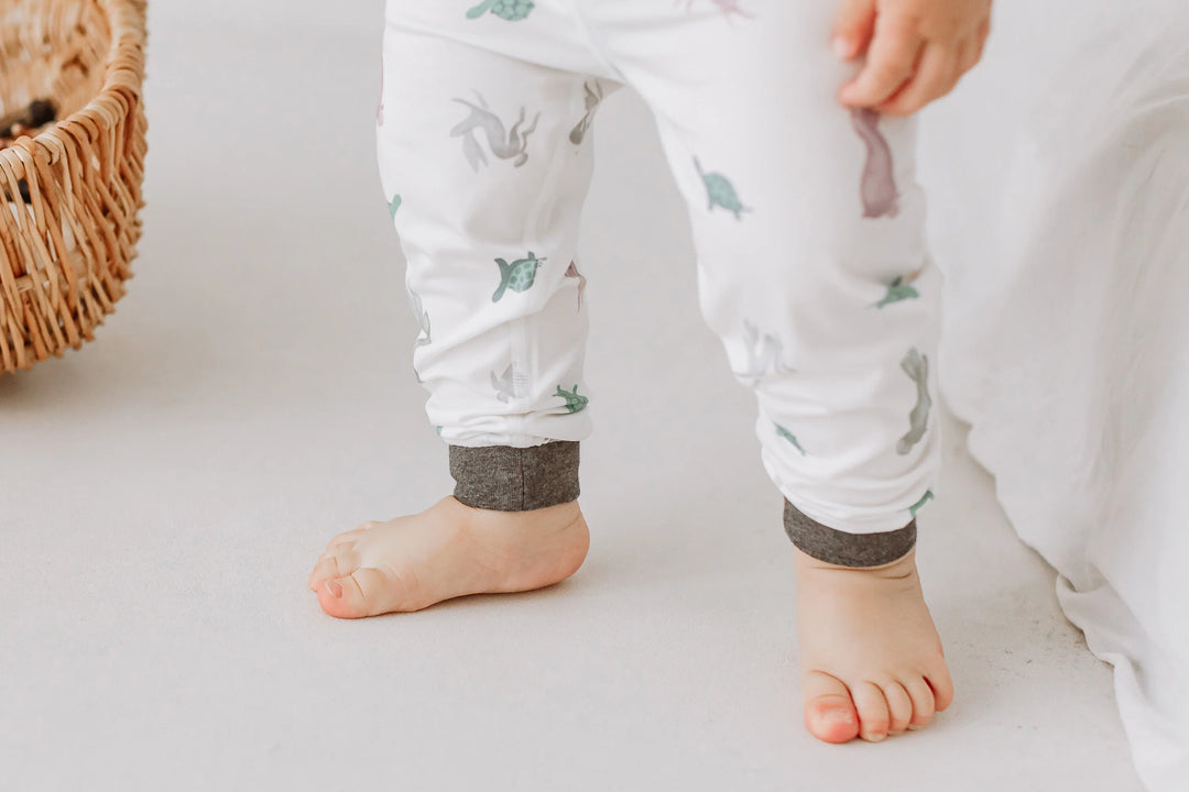 Nest Designs Kids/Baby Avocado Bamboo Two-Piece Long Sleeve PJ Set - The Tortoise & The Hare