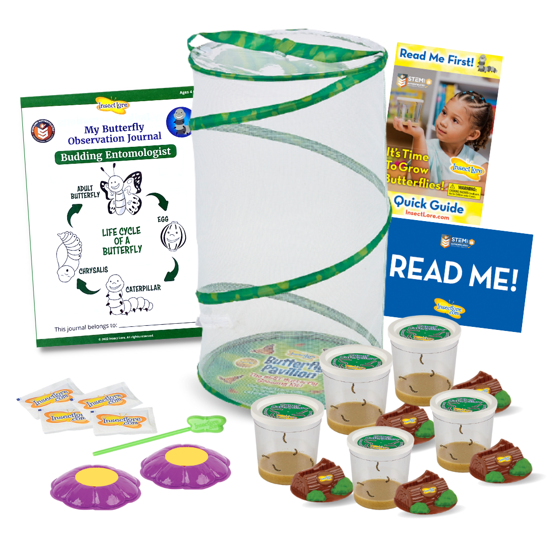 >Insect Lore Life Science & STEM Education – Butterfly Garden Kit