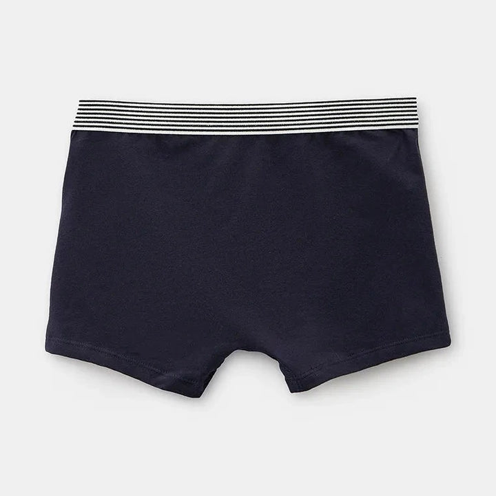 Petit Bateau Boys Junior Cotton Boxer (Set of 2)