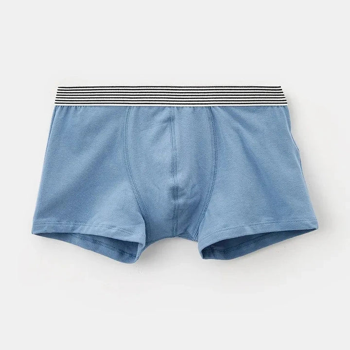 Petit Bateau Boys Junior Cotton Boxer (Set of 2)