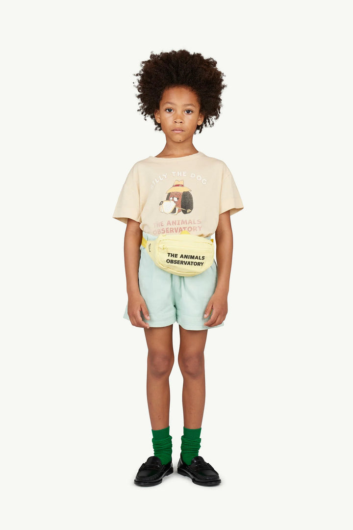 THE ANIMALS OBSERVATORY Kids Turquoise Monkey Shorts