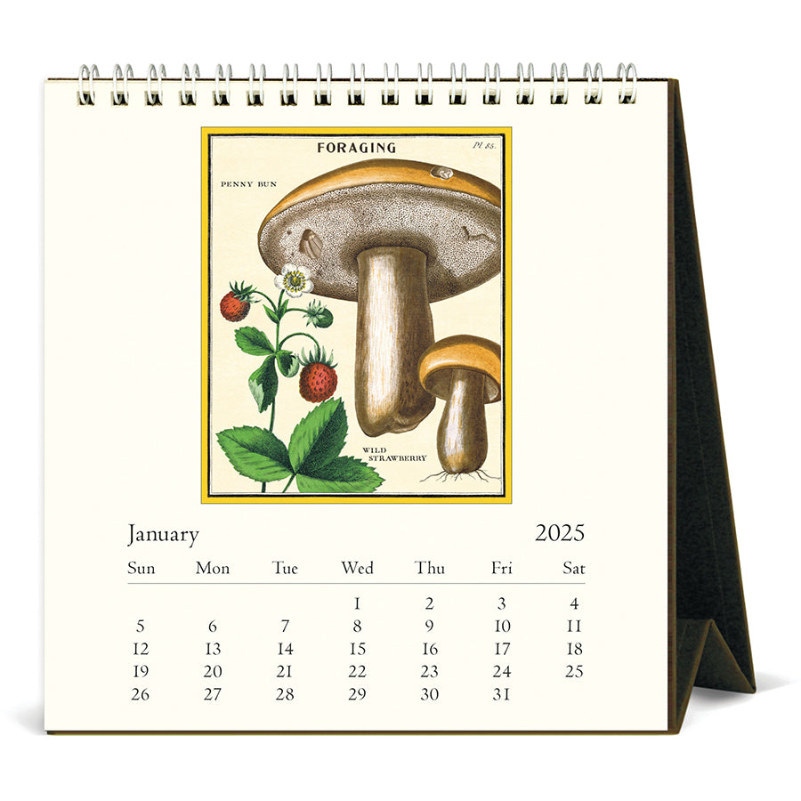 Cavallini Desk Calendar - Foraging 6.5" x 6.5"