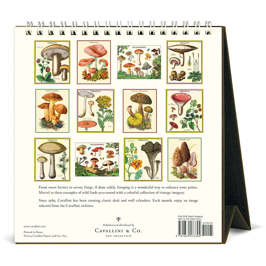 Cavallini Desk Calendar - Foraging 6.5" x 6.5"