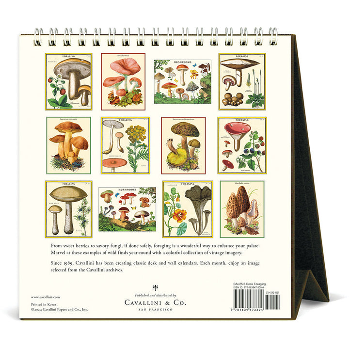Cavallini Desk Calendar - Foraging 6.5" x 6.5"
