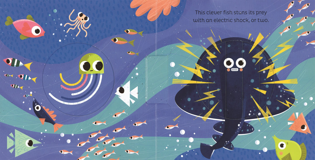 >Usborne Animal Magic: in the Ocean